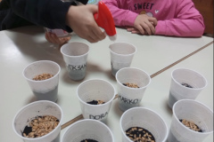 Screenshot_20251212_132249