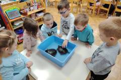 IMG_20251107_103134_edit_110065957226501